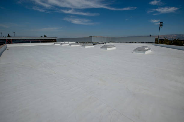 Best Rubber Roofing (EPDM, TPO)  in Montclair, VA